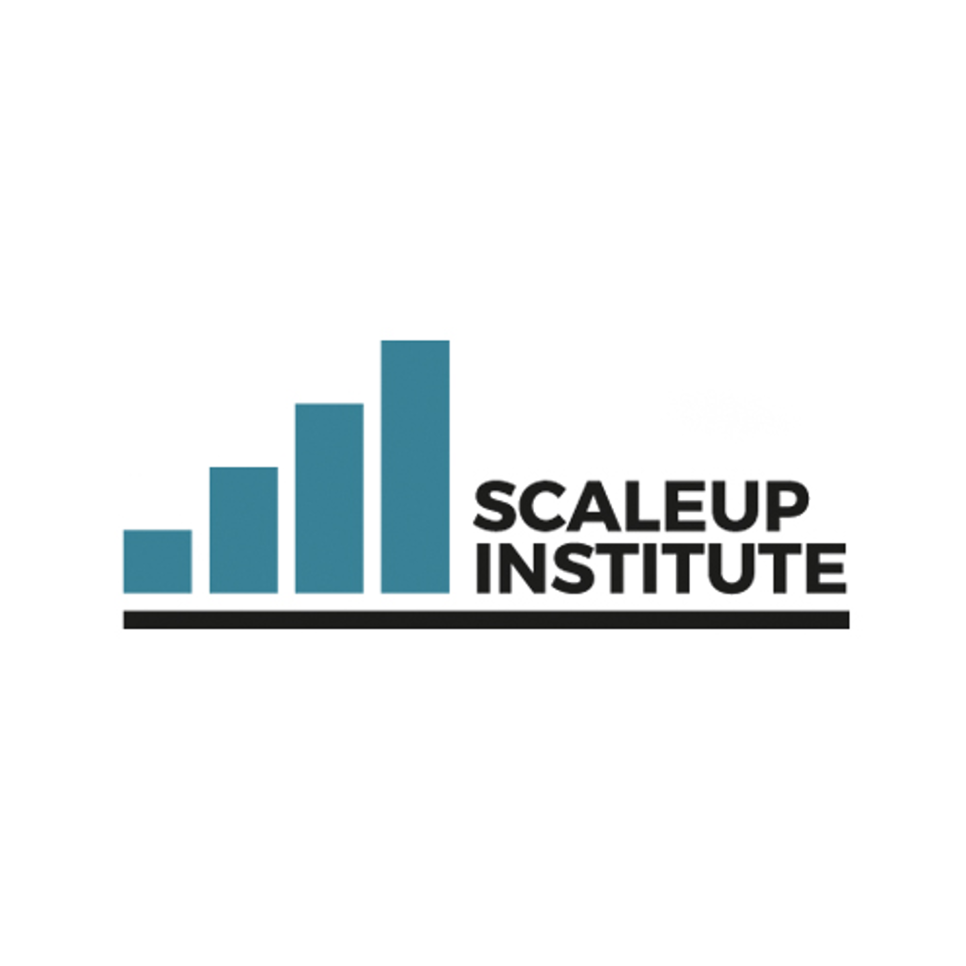 The Scaleup Institute Logo