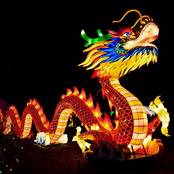 Firing up for the Year of the Dragon 