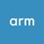 Arm mini China: are JVs the future for tech firms in China?