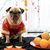 More pets than kids – opportunities in a booming Chinese market