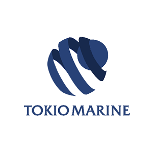 Home - Logo 13
