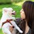 More pets than kids – opportunities in a booming Chinese market