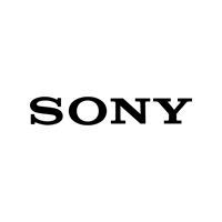 日本企業のグローバル事業開発 - Logo 29