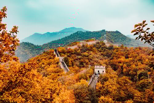 China market-1