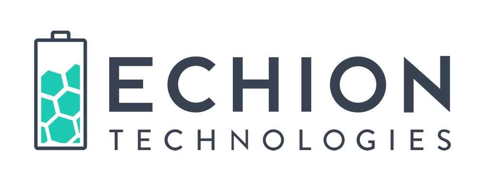 Echion technologies logo