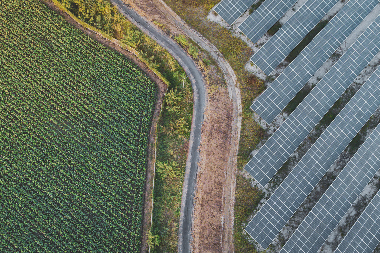 Energy_Banner Image 2025