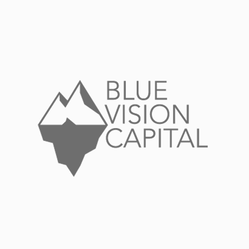 blue-vision-capital-web