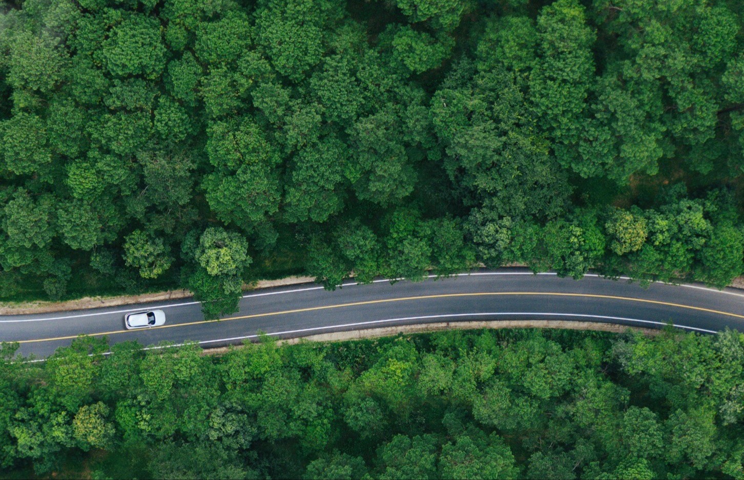 Green-car-banner