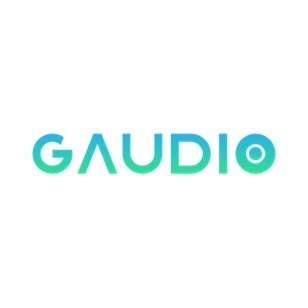 Gaudio-web
