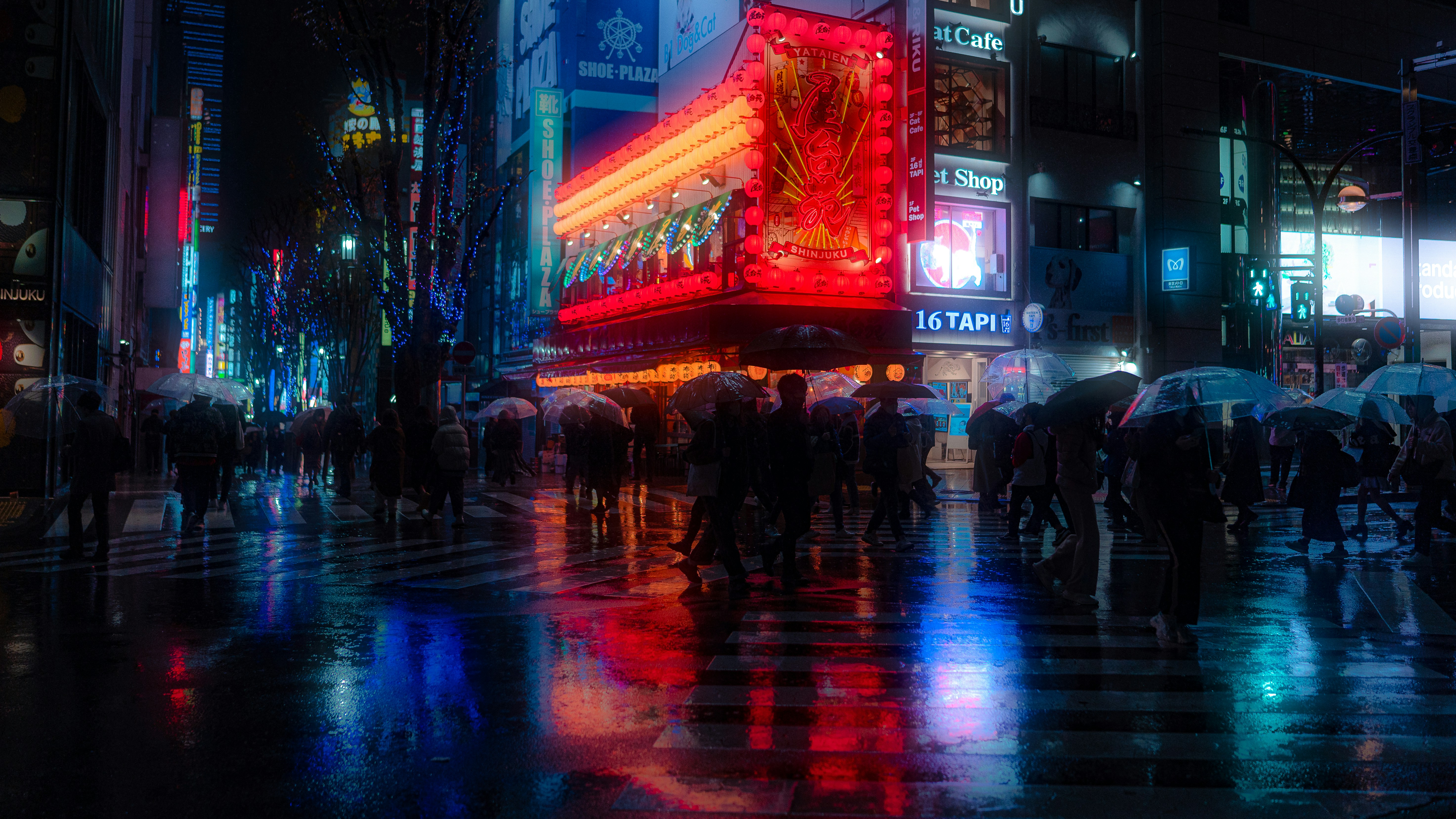 raphael-lopes-qsGYAJ3HJIQ-unsplash